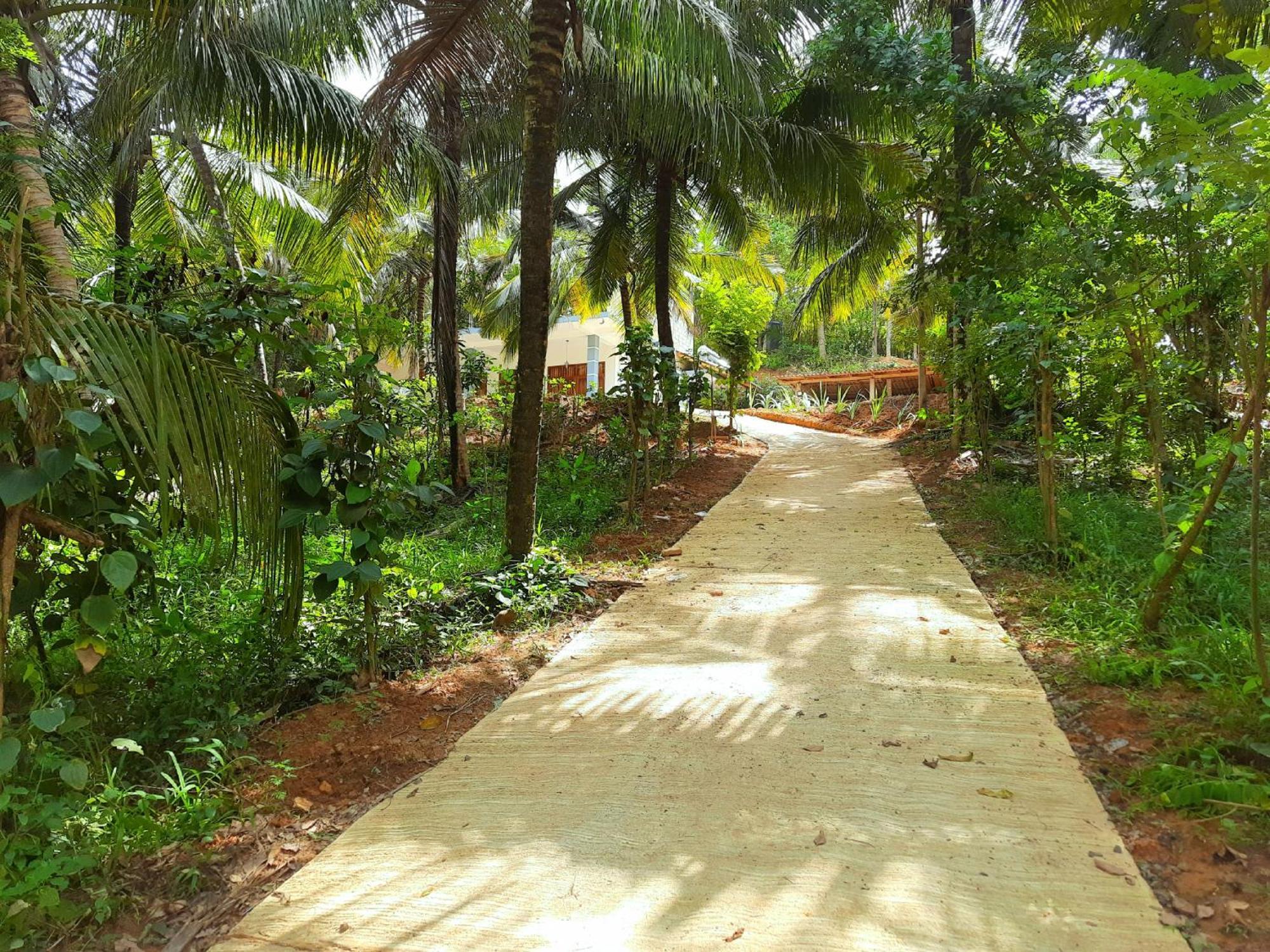 Coco Mount Residence - Hiriketiya Dikwella Sur Exterior foto
